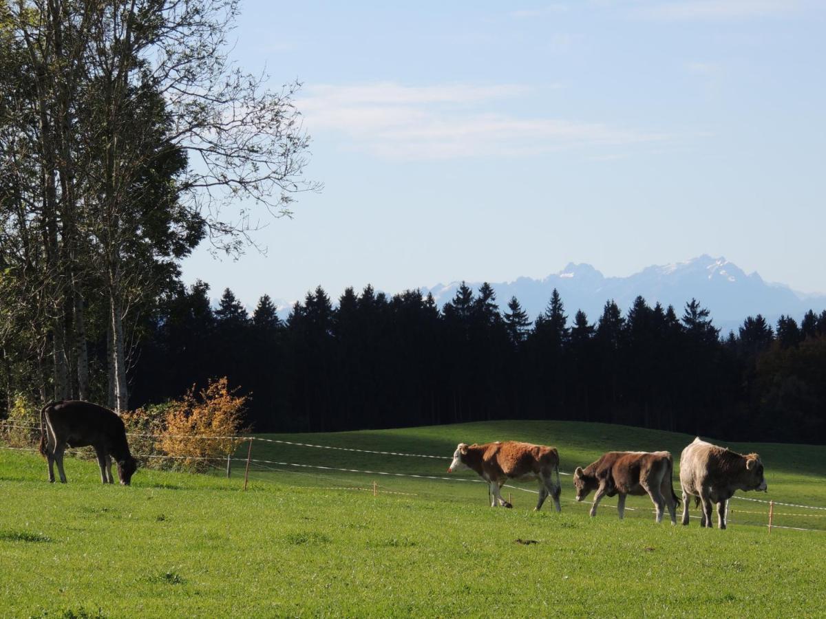 Ferienwohnung Butscher Isny im Allgau Bagian luar foto